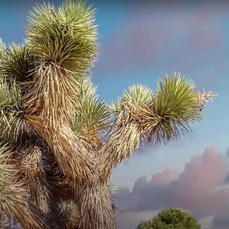 Three Tree Villa W/ Ev Charging Yucca Valley Extérieur photo