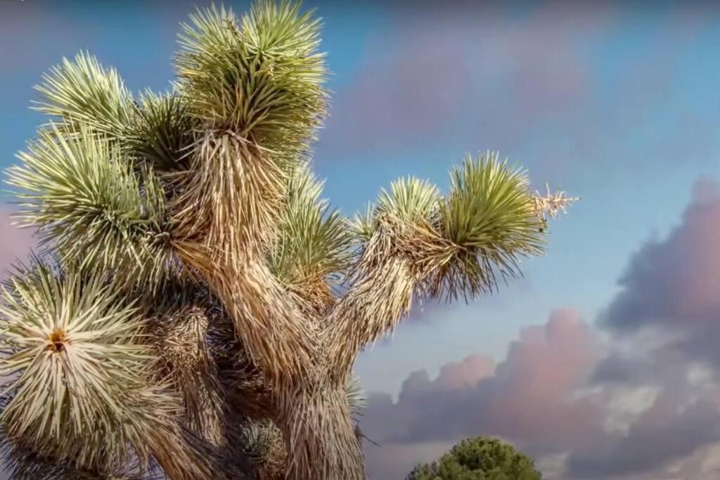 Three Tree Villa W/ Ev Charging Yucca Valley Extérieur photo
